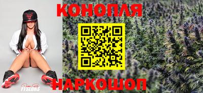 PSILOCYBIN Туймазы